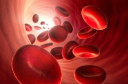 Rote Blutkörperchen, Quelle: © psdesign1 - fotolia.com