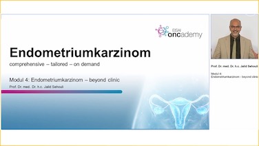 Prof. Sehouli im Experteninterview zum Endometriumkarzinom